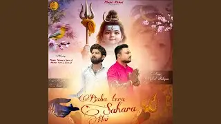 Baba Tera Sahara hai