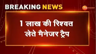 Breaking : Bharatpur में एसीबी ट्रैप की बड़ी कार्रवाई । FCI Office Bharatpur। Manager Trap। News