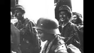 AK Tribute to The Polish Home Army WWII #poland  #wwii #history