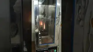 Vertical Burning Test