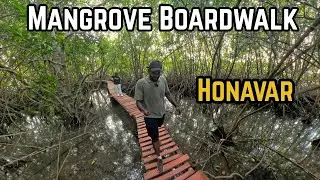 Honavar’s Best Kept Secret – The Scenic Mangrove Boardwalk Experience!