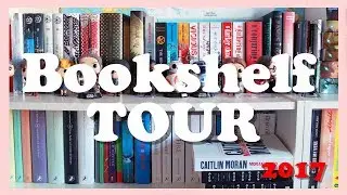 BOOKSHELF TOUR 2017  | Más de 500 libros !!