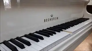 Installation of Piano Disc at Piano Renovation Professional