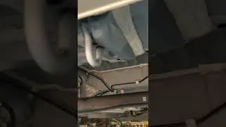 Состояние дна Хонды из Японии #хонда #антикор #автоизяпонии