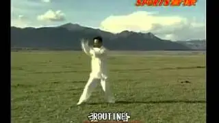 Xingyi Ba Zi Gong (Eight Words Skill). Master Di Guo-Yong.(240p_H.264-AAC)