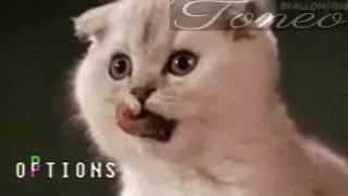Options (prod. Toneo)