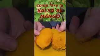 Come fare la SALSA AL MANGO perfetta 🍋🥭 | Ricetta facile e tropicale &ndash; Andrea HomeRestaurant