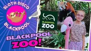 Blackpool Zoo stole our hearts ....  even better than London Zoo?