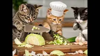 Mini Cats Cook a Giant Dumpling Feast 🥟|Satisfying Sounds #MiniCatCooking #TinyCatChef #shorts