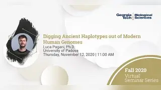 Digging Ancient Haplotypes out of Modern Human Genomes