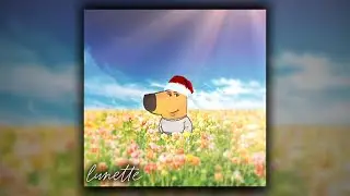 Random Phonk/Funk Edit Audios Because You're a Chill Guy 🍃😌