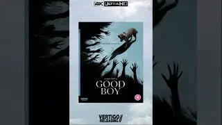 Good Boy [Vertigo Releasing 4K UHD & Bly-ray Collector's Edition] #4KUHD #SHORTS