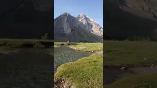 Golain Jungle Koghuzi Chitral Unseen Beauty Motovlog Pakistan #shorts #youtubeshorts #nature