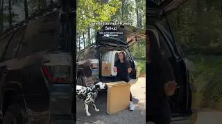 4Runner + Dog Gunner &mdash; установка питомника! #Собака #Собаки