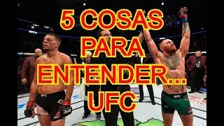 5 cosas para entender la UFC - Eventos, Rankings, Pesaje, Peleadores, etc.
