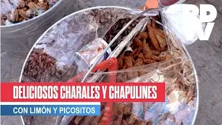 Deliciosos Charales con lim&oacute;n y picositos