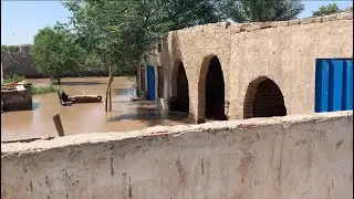 Daya Satluj bahut bada nuksan Kar Diya saraikihunar