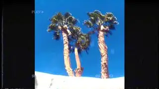 FREE 