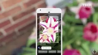 Google Lens | Turning your Camera into a Search Box