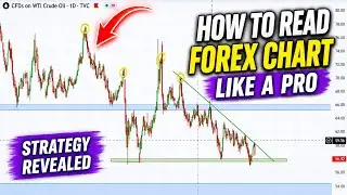 HOW TO READ FOREX CHARTS LIKE A PRO | SUPPORT AND RESISTANCE |USOIL | BTC| NZDUSD |TOP DOWN ANALYSIS