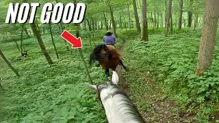 Trail Ride Gone Wrong with Falling Branches and Horse Tantrums