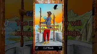 www.patreon.com/easalle #dailytarot #inspiration #blessings #witchtok #tarot #twoofwands #thestar