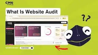 How to use Website audit in CMOontheGO