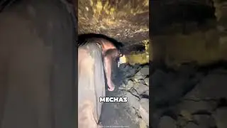 As&iacute; Se Extrae Carb&oacute;n De Las Minas