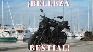 Kawasaki Z900 2025: &iexcl;Dise&ntilde;o agresivo y potencia brutal!