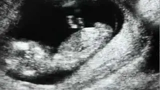 Dr. Morris Ahdoot's appearance on CNN, FOX NEWS, TLC and Lifetime - Who Is Who