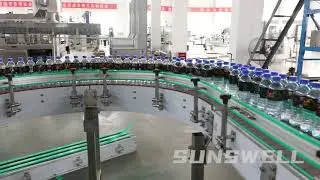 10000bph 500ml water filling line