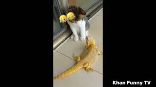 Funny Movements Of The Compilation😂😂 Funniest Fails Of The Year Compilation😂😂 @linhlantv
