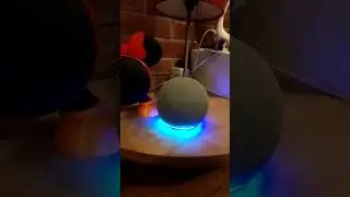 #Alexa se enoja conmigo 😑 jajaja 🤣 #comedia #shorts #humor #googlehome