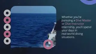 PADI Internships ScubaFun