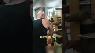 Applying Monkey Kung Fu Techniques on the Wooden Dummy &mdash; Monkey Style Wing Chun
