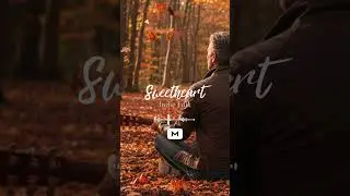 Sweetheart | Indie Folk