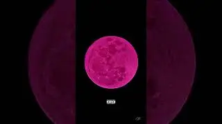 careforme - SAMMIE X HARDIN