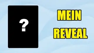 Mein Set 11 Reveal! Lorcana Winterzauber Spoiler