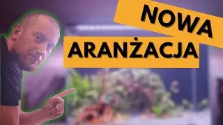 JAK ZAŁOŻYĆ AKWARIUM 72L? Krok po kroku: Aranżacja z Dragon Stone i czarnym piaskiem!
