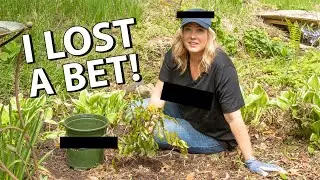 I LOST A BET | Planting Mahonia | (P.S. Stay for the end) | The Impatient Gardener