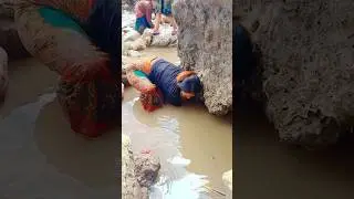 असला माछा 🤩👏 Fish Hunting #nepal #shorts #amazing #shortvideo #youtubeshorts #fishrecipe