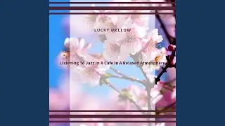 Mellow Echoes Through Time