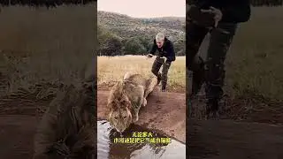 Unbelievable Animal Encounters - A Harmonious Bond! #AnimalsAndHumans...