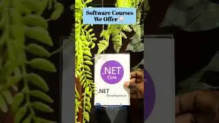 Top Professional Software Courses in Kerala | Python, Java, Flutter & More