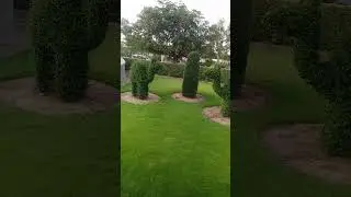 Amazing green beauty #shorts #ytshort #green