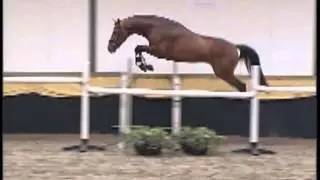 Lady GaGa - bad romance - Horses