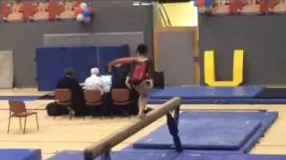 Optional level 6 state gymnastics meet