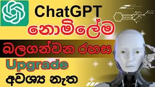 ChatGpt To Make Money | ChatGpt Free Tutorial Sinhala | ChatGpt How To Use | Best ChatGpt Prompts