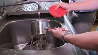 Better Sponge | Does It Really Work?