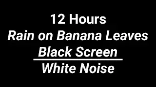 Whites Noise Rain Falling on Banana Leaves,12 Hours White Noise for Sleeping,